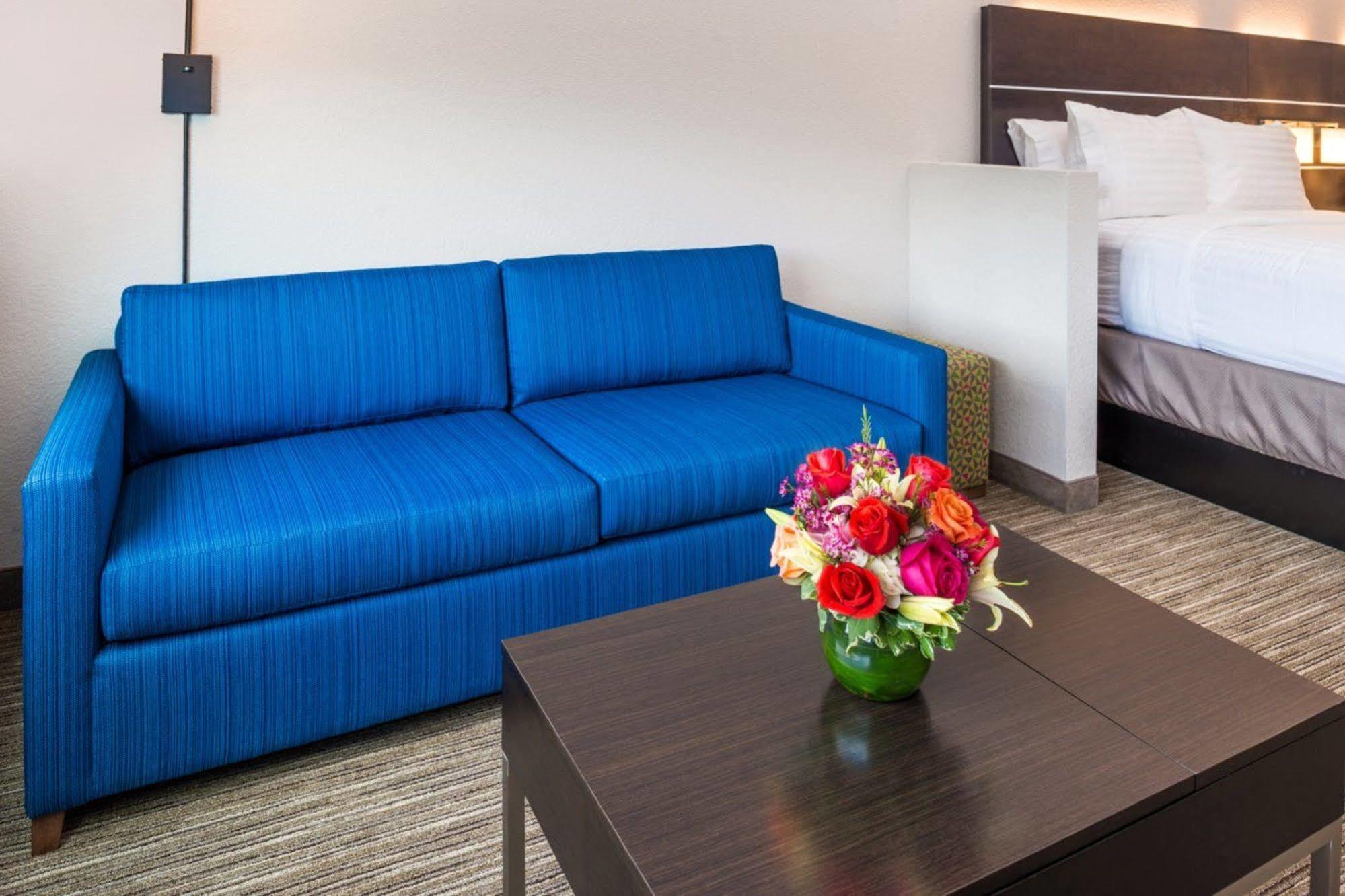 Holiday Inn Express & Suites - Tampa North - Wesley Chapel By Ihg Exterior foto